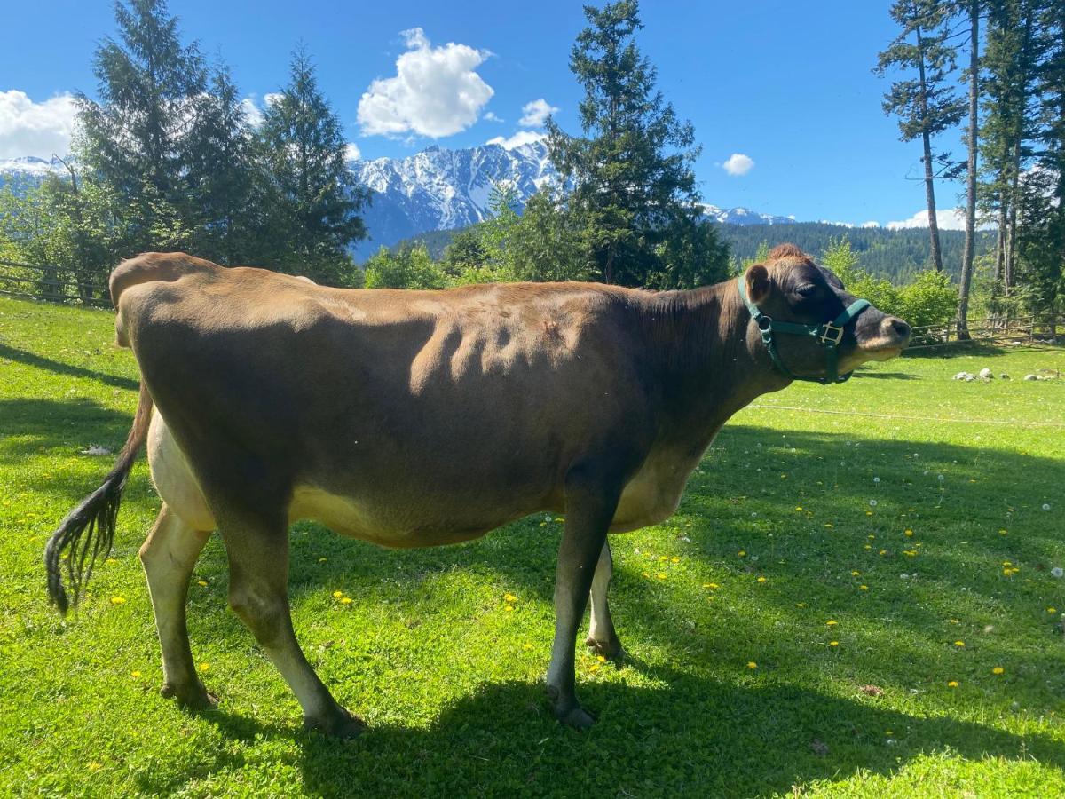 Sweetwater Lane Farm Vila Mount Currie Exterior foto