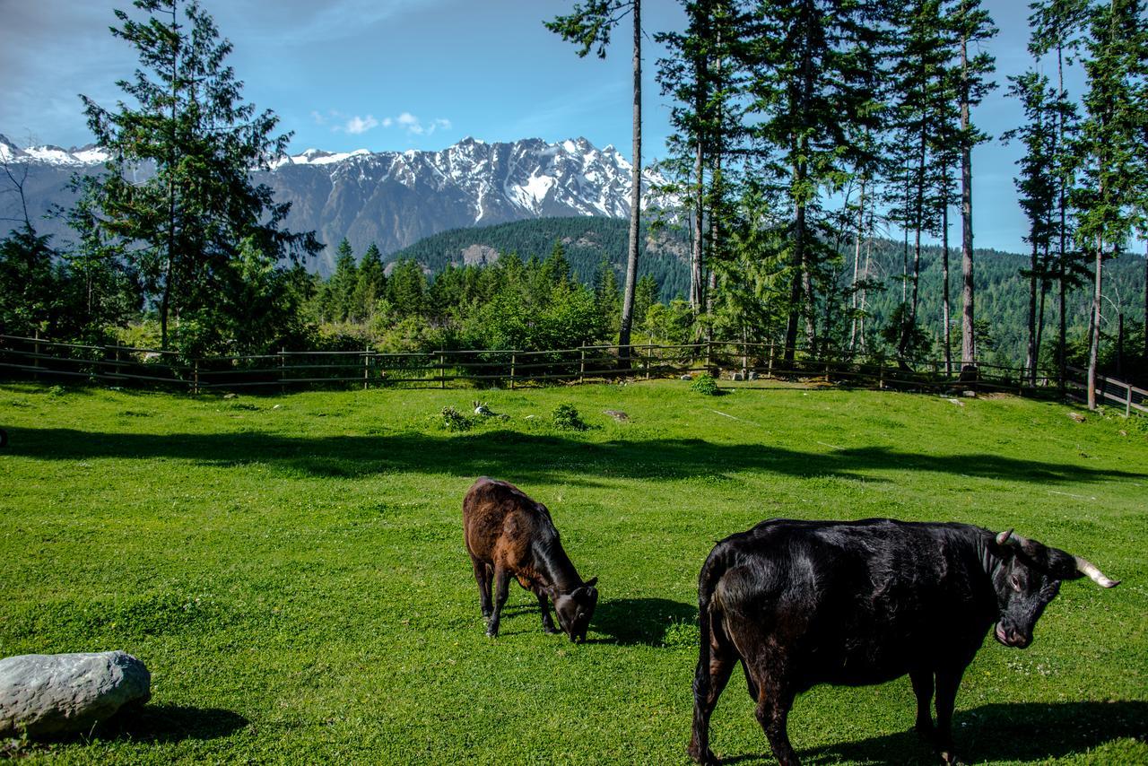 Sweetwater Lane Farm Vila Mount Currie Exterior foto