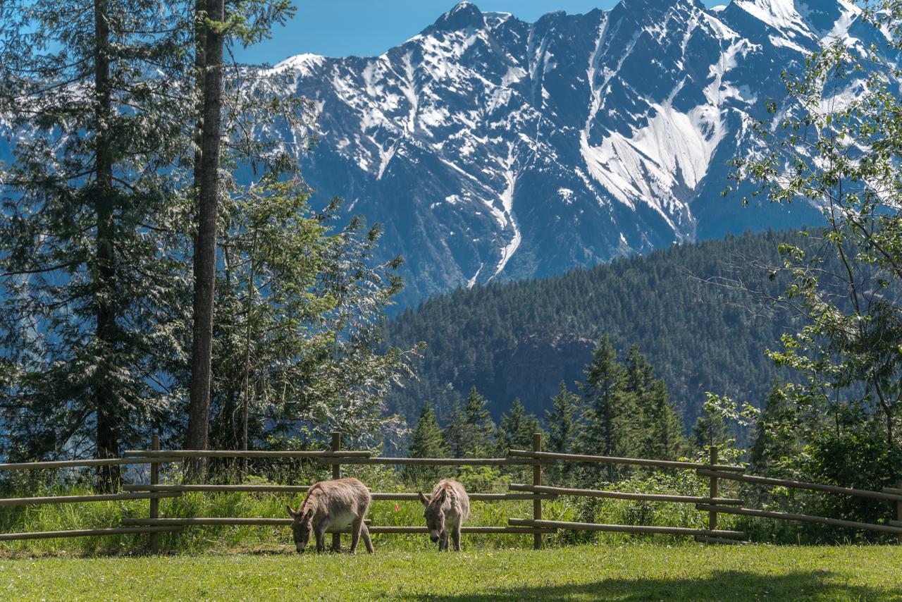 Sweetwater Lane Farm Vila Mount Currie Exterior foto