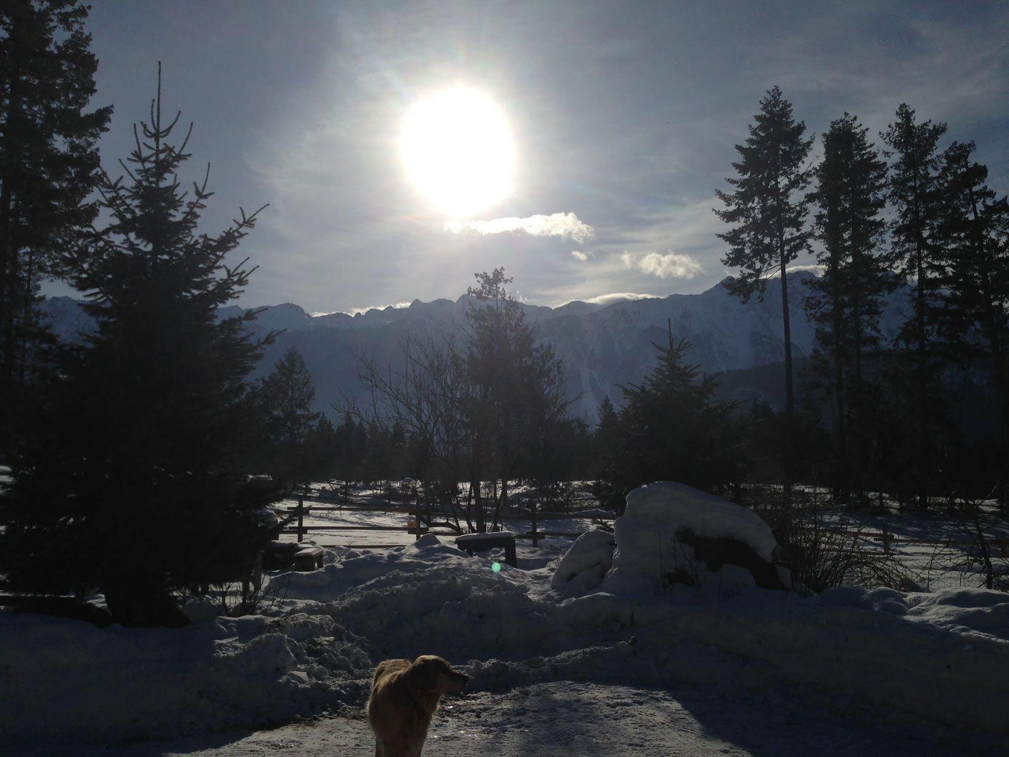 Sweetwater Lane Farm Vila Mount Currie Exterior foto
