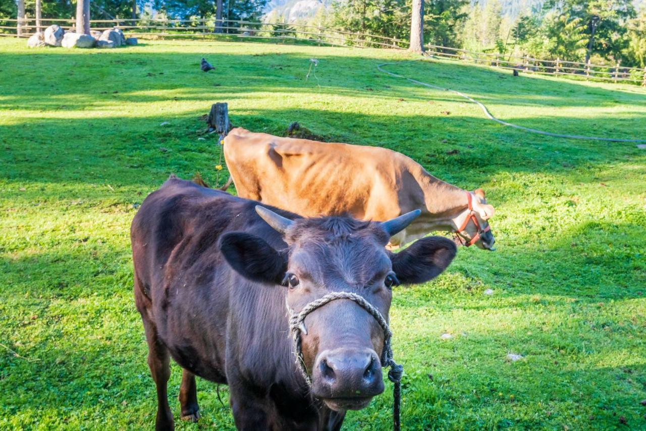 Sweetwater Lane Farm Vila Mount Currie Exterior foto